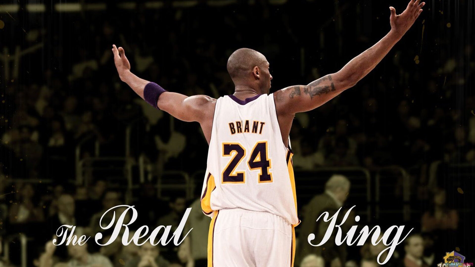 世界杯2026-英格拉姆，当胜负手不再只是得分，深圳与上海的对决被重新定义